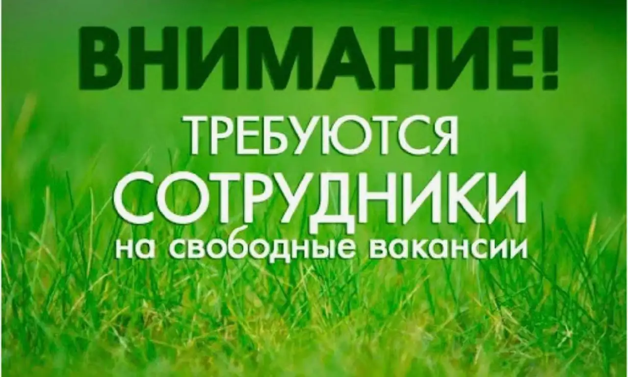 Вакансии на базе отдыха "Сосновый бор" - Вакансии (Работа) в Тюмень