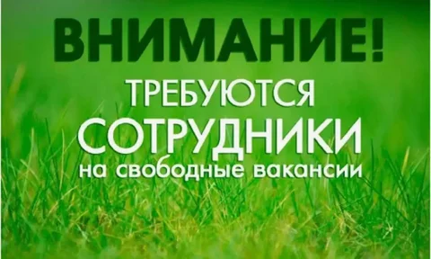 Вакансии на базе отдыха "Сосновый бор" - Вакансия в Тюмень