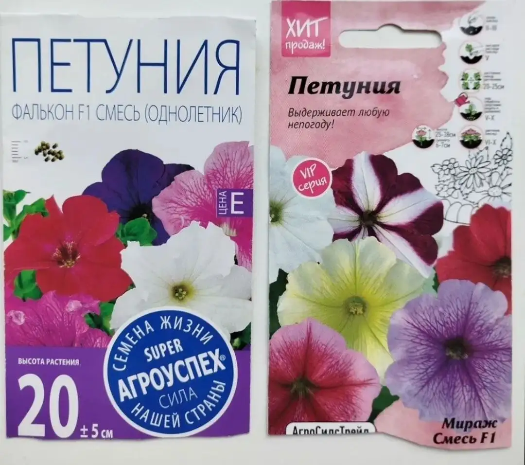 Продам рассаду петунии - Садоводство (Хобби и отдых) в Тюмень