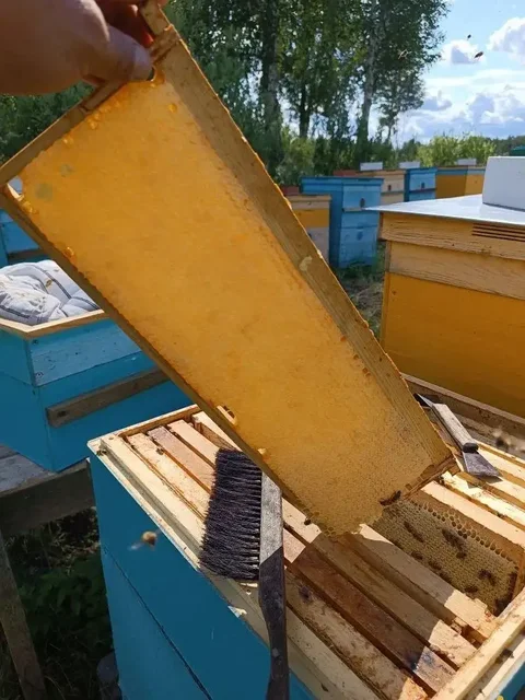 Кочевая пасека - мед и продукты пчеловодства 2025 - Кухонные принадлежности в Тюмень