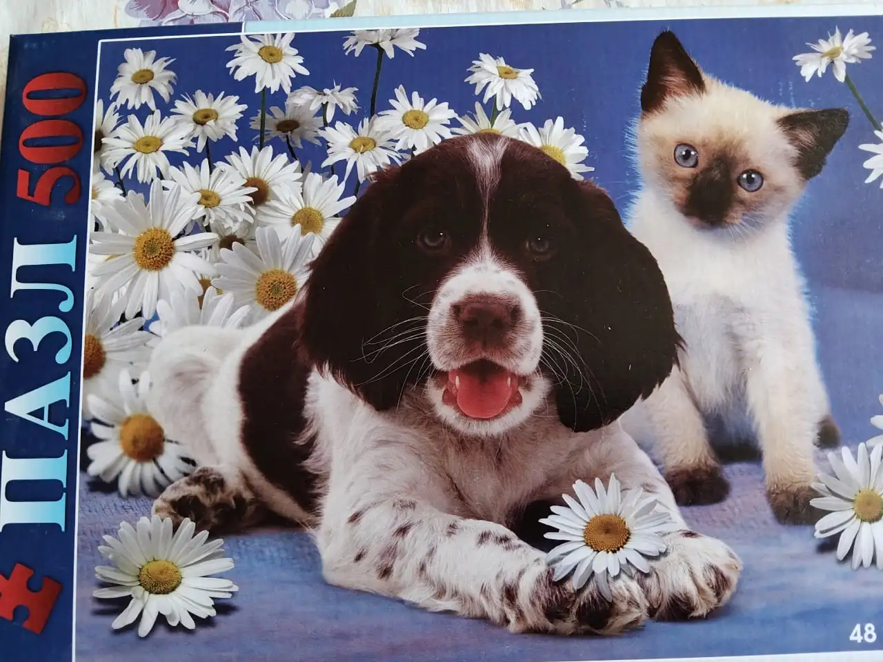 Продажа картин, рюкзака и манекена - Барахолка в Тюмень