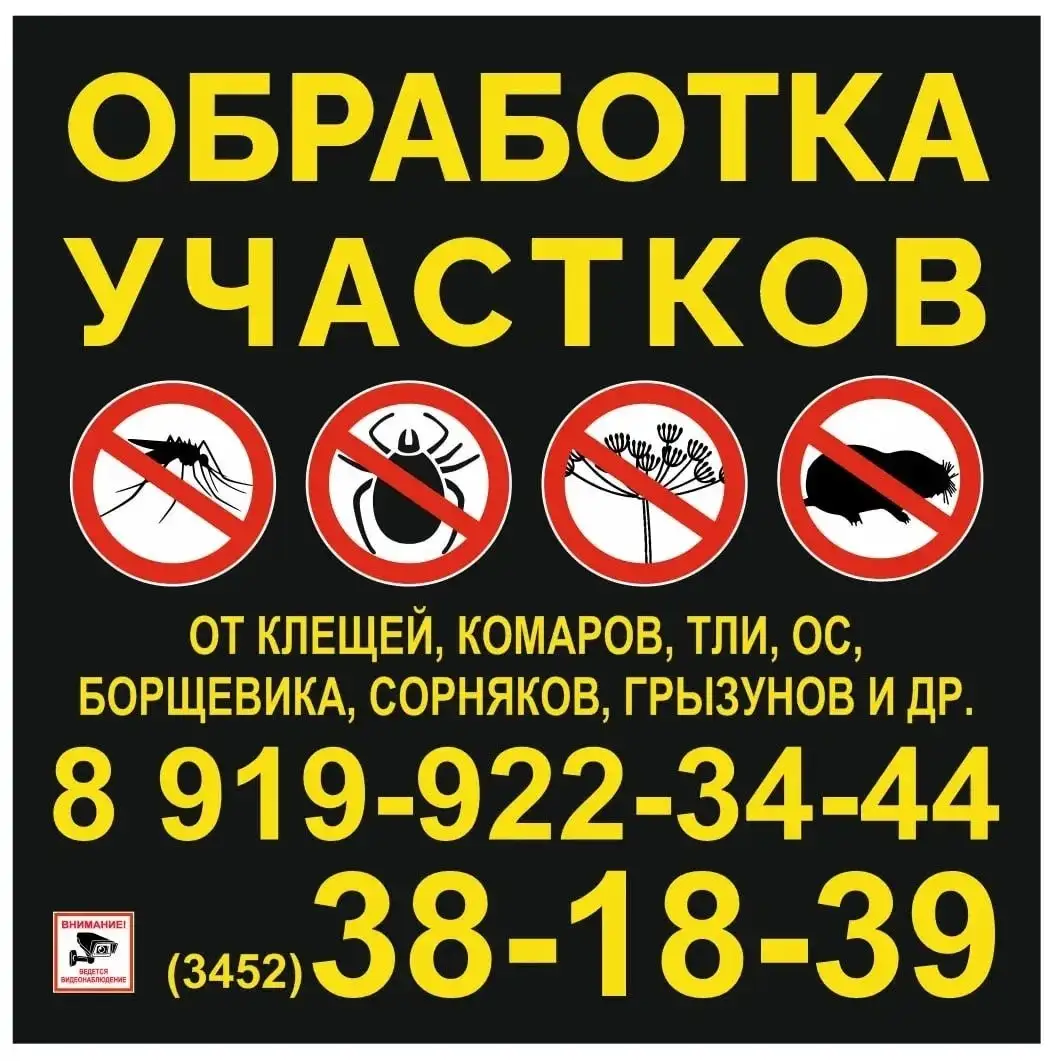 Обработка участков от насекомых и вредителей - Дератизация и дезинсекция (Услуги) в Тюмень