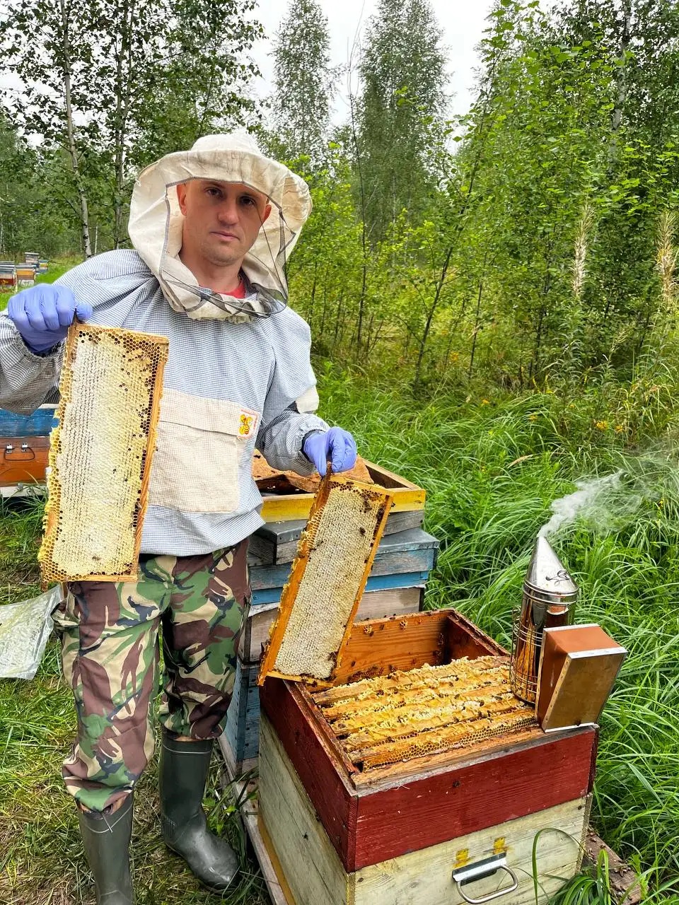 Мёд и соты натуральные из Тульской области - Мёд (Продукты) в Люберцы