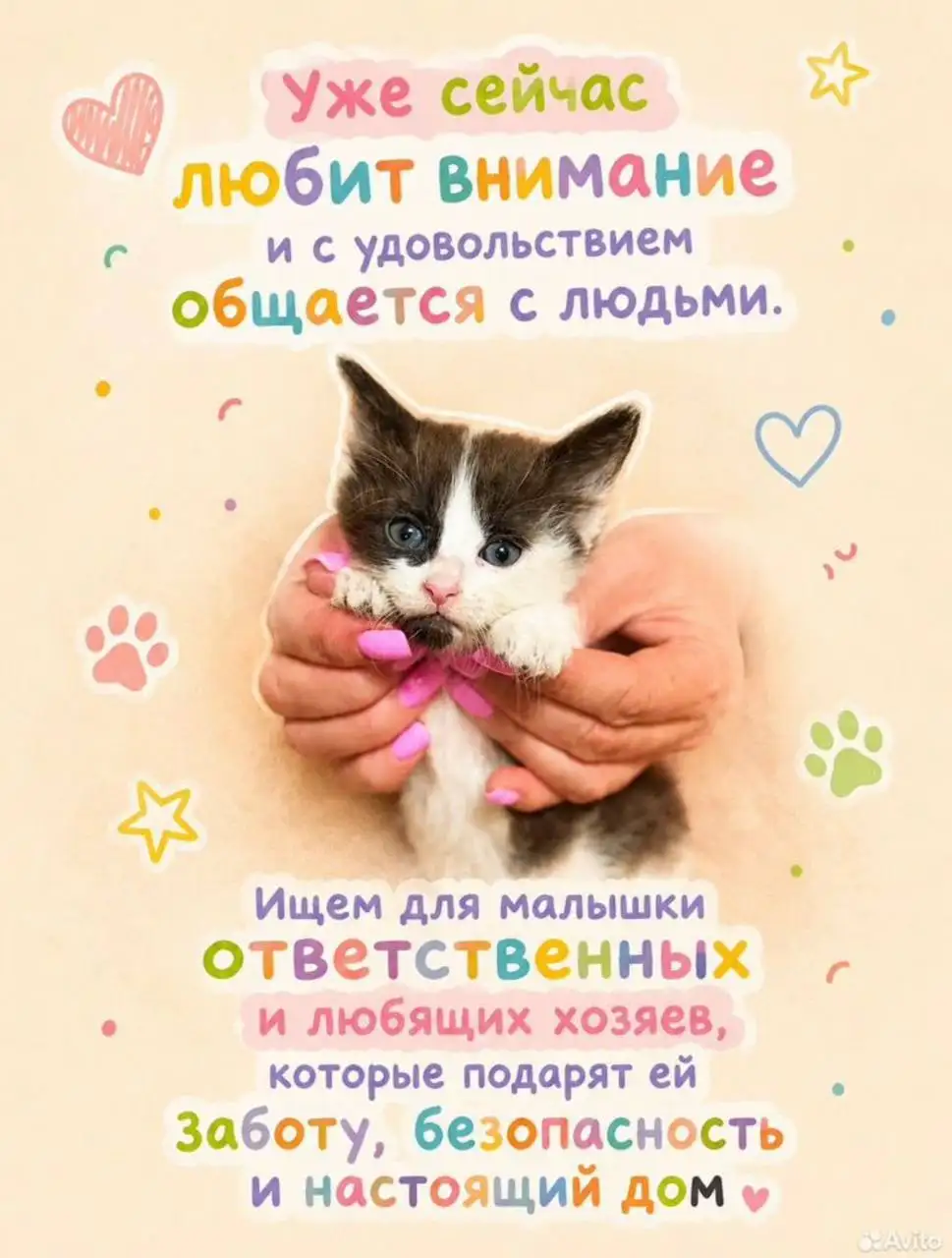 Отдаётся котёнок в добрые руки - Кошки (Животные) в Люберцы