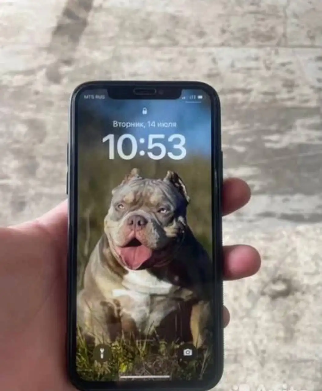 Продам iPhone X - Смартфоны (Электроника) в Люберцы