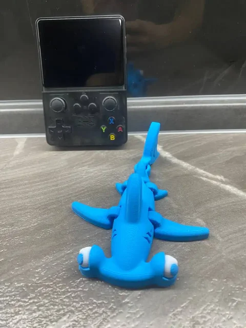 Акула-молот - Животные в Люберцы