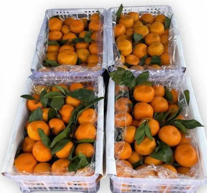 Закупка в чате Барахолка Люберцы Некрасовка