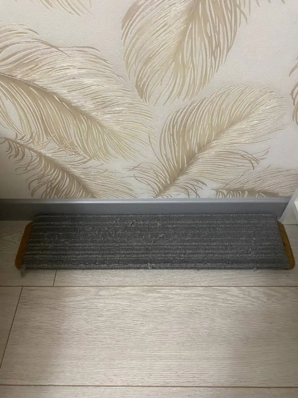 Отдам бесплатно