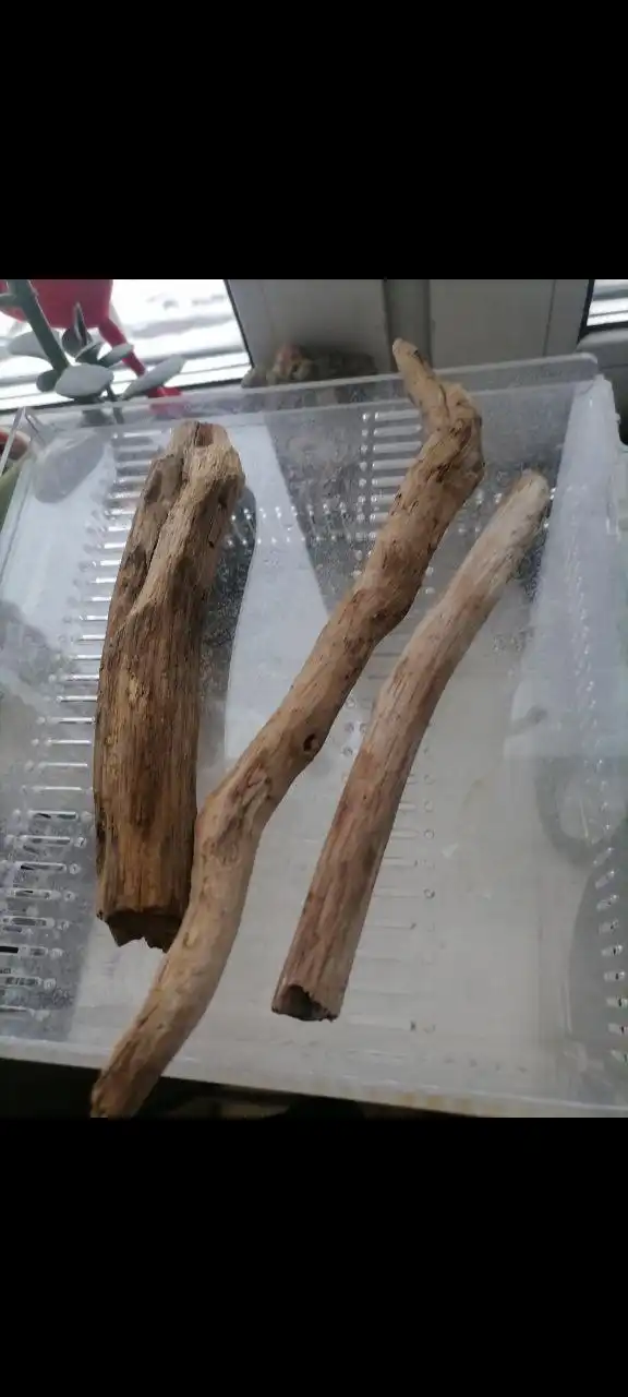 Декоративные палки для аквариума