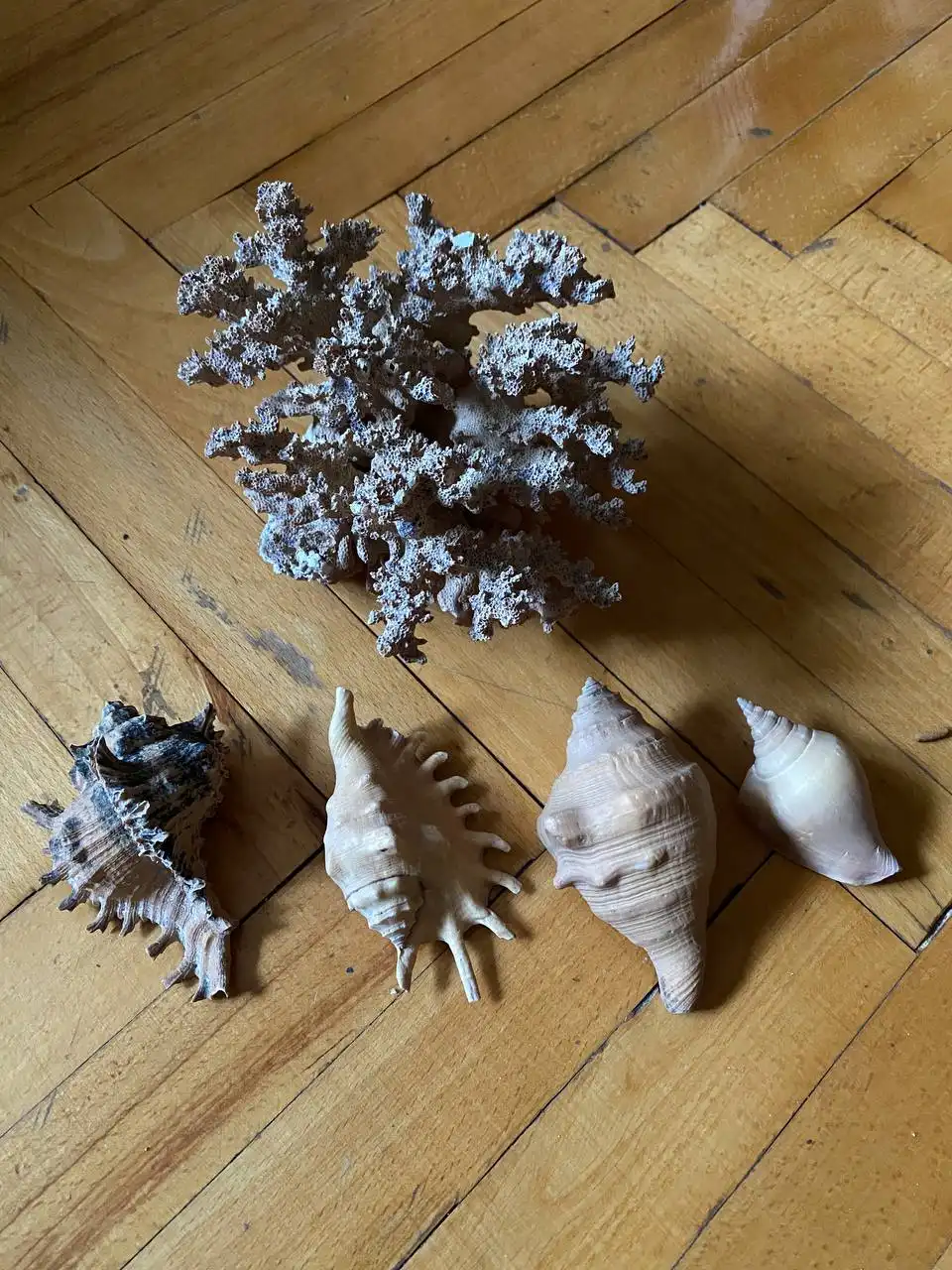 Аквариумные принадлежности и оборудование