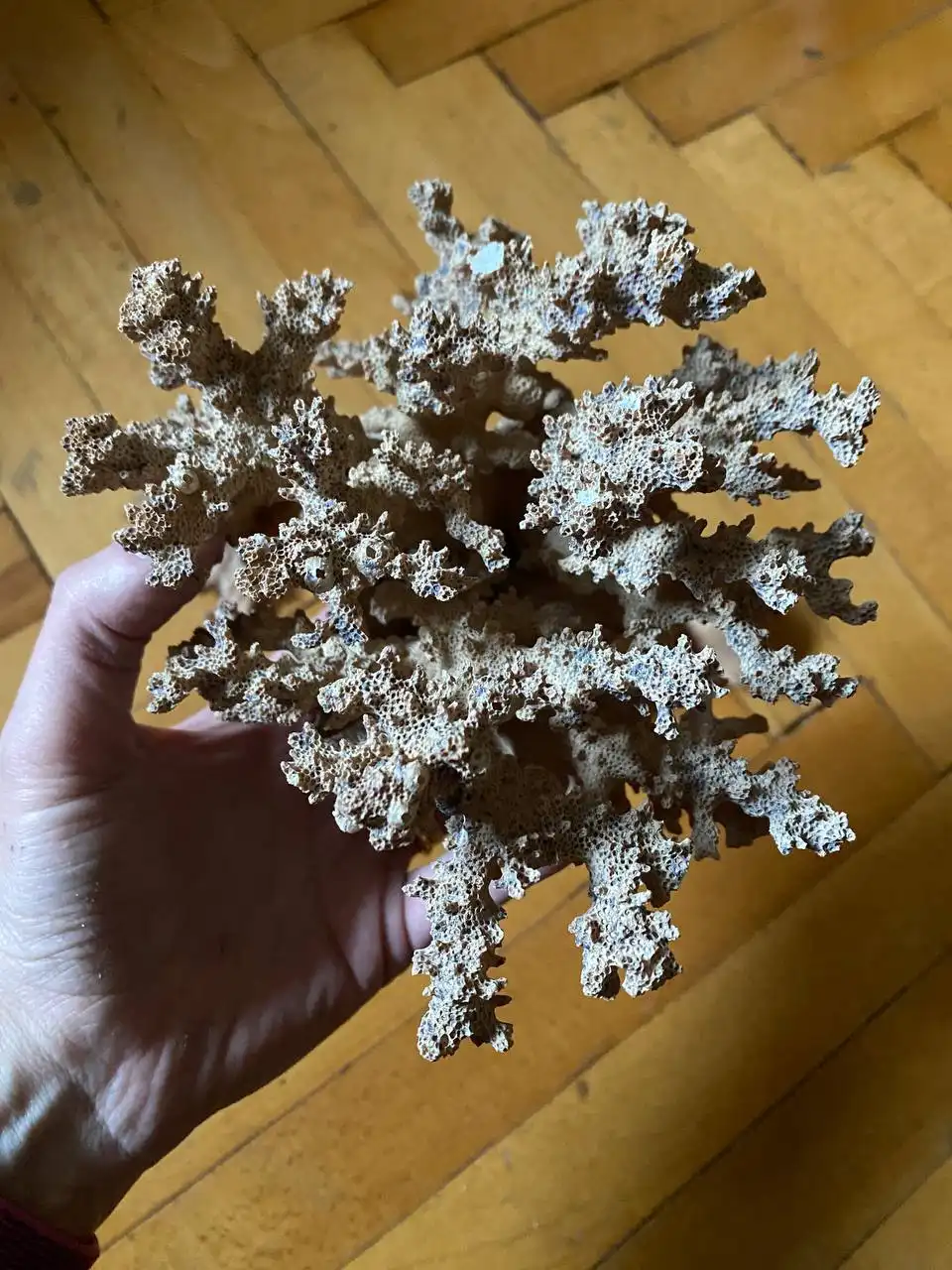 Аквариумные принадлежности и оборудование