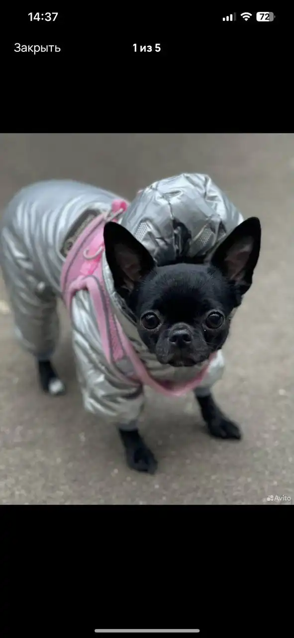 Костюм новый, размер М - Одежда в Люберцы