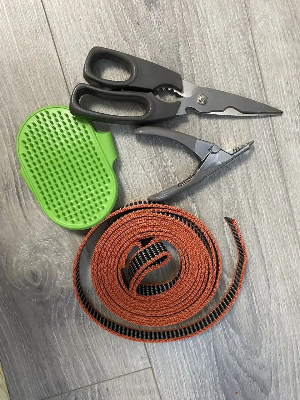 Амуниция для собак - Аксессуары для животных (Животные) в Люберцы