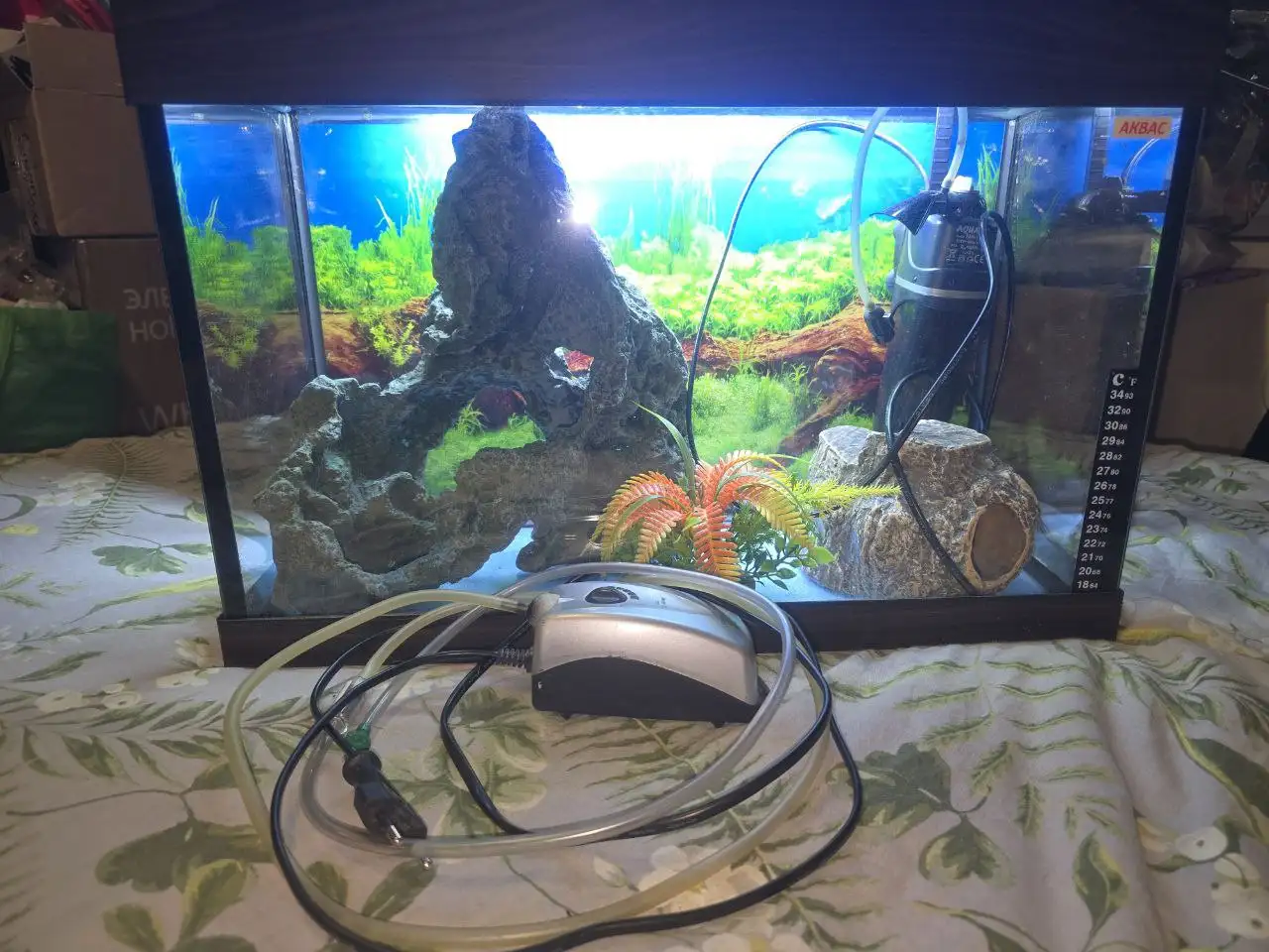 Аквариум 50л с оборудованием и декором - Аквариумистика (Хобби и отдых) в Люберцы