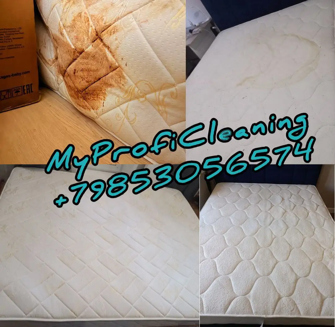 Услуги клининга MyProfiCleaning в Москве - Клининг (Услуги) в Москва