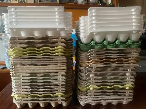 Коробки для яиц 58 штук - Лизинг в Люберцы