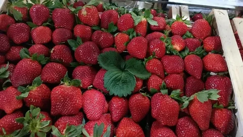 Прайс-лист на ягоды с доставкой в Москве - частное объявление в Люберцы