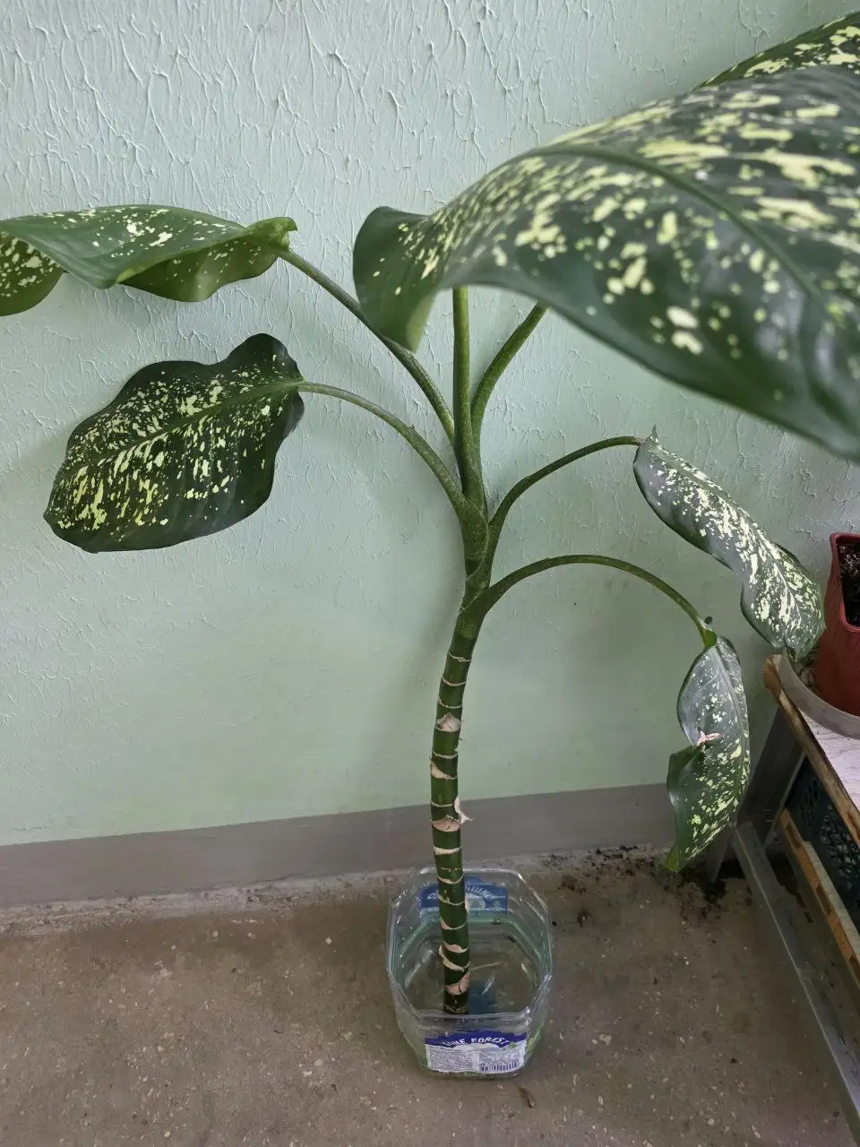 Бесплатный товар в Люберцах - Барахолка в Люберцы