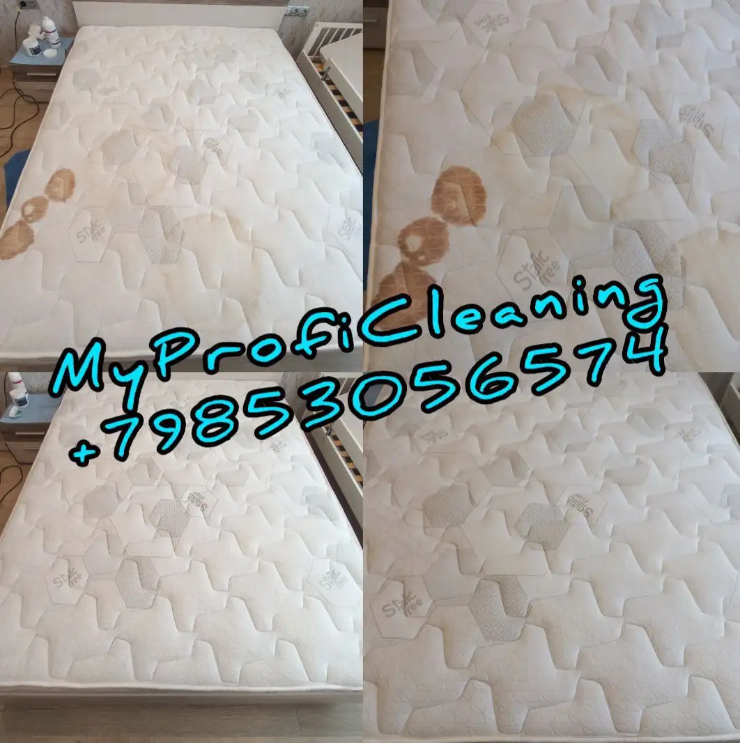 Профессиональные услуги клининга MyProfiCleaning - Клининг (Услуги) в Москва