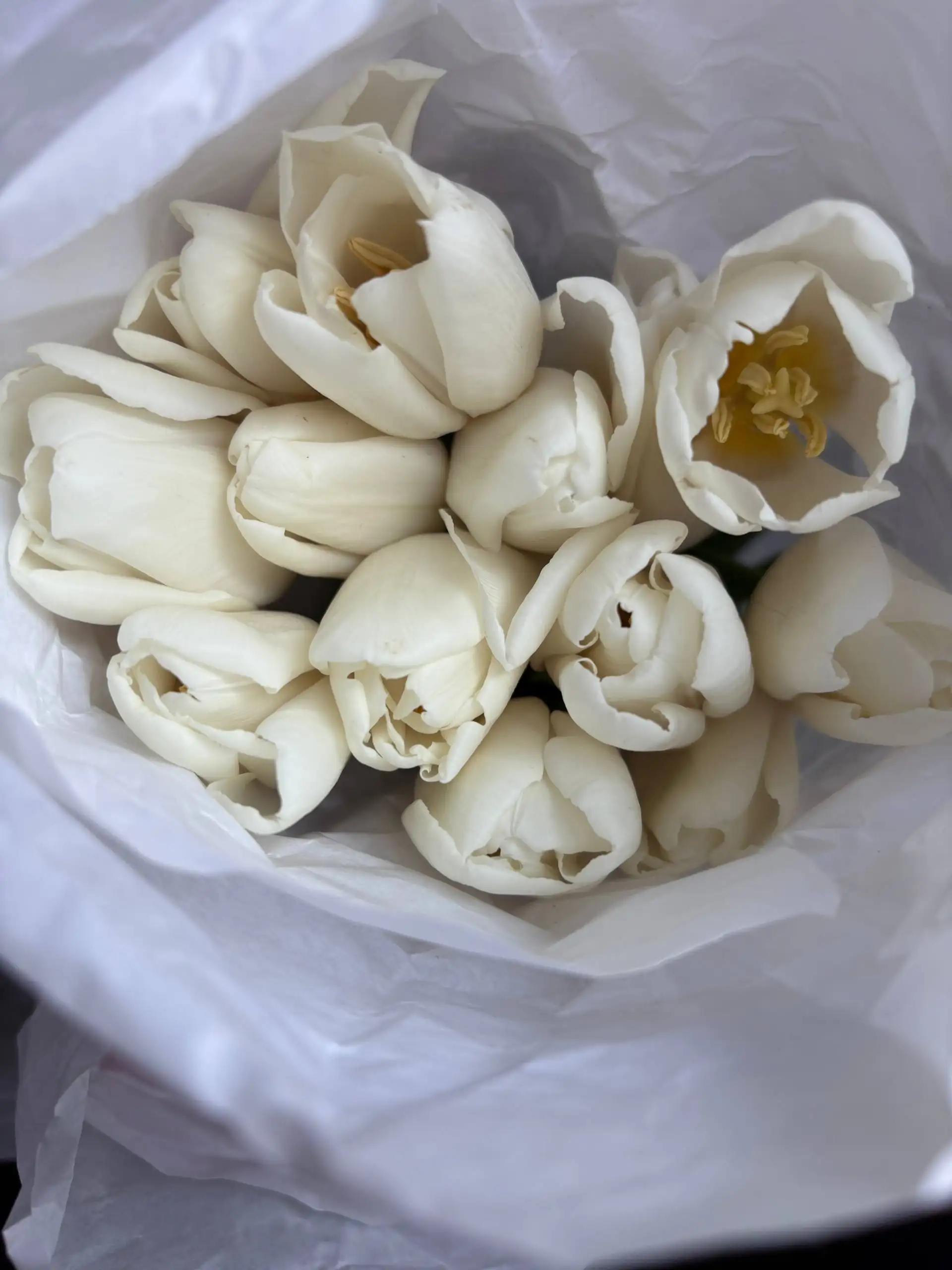 Продажа свежих цветов в Некрасовке - Цветы (Барахолка) в Некрасовка