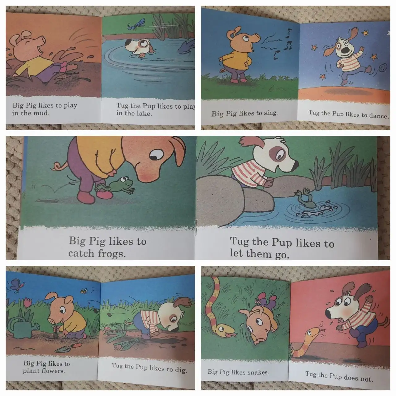 Книга Пример уровень С - Книги (Барахолка) в Люберцы