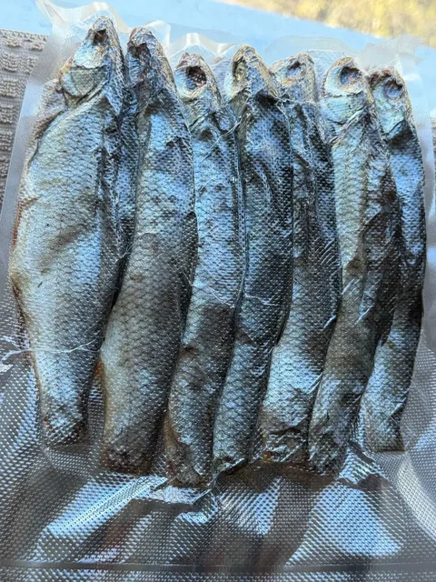 Вобла вяленая свежая малосольная - Продукты в Люберцы