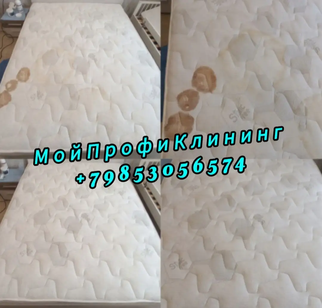 Услуги клининга от МойПрофиКлининг - Клининговые услуги (Услуги) в Москва