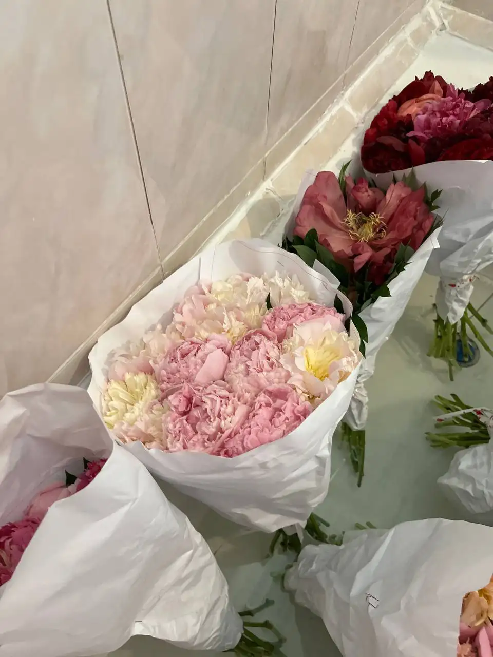 Продам пионы - Растения в Некрасовка