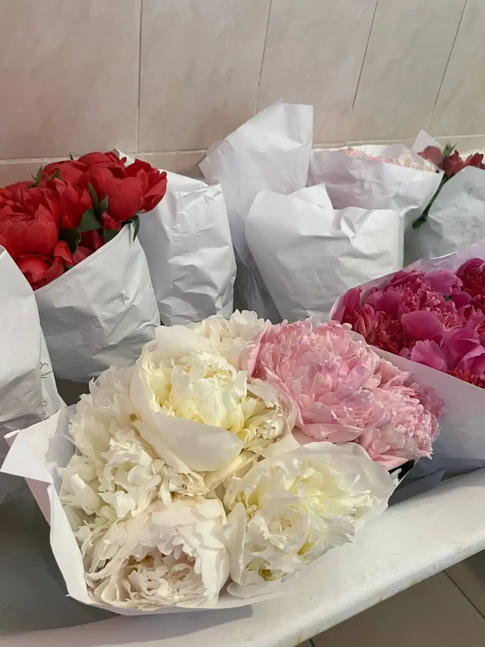 Продам пионы - Растения в Некрасовка