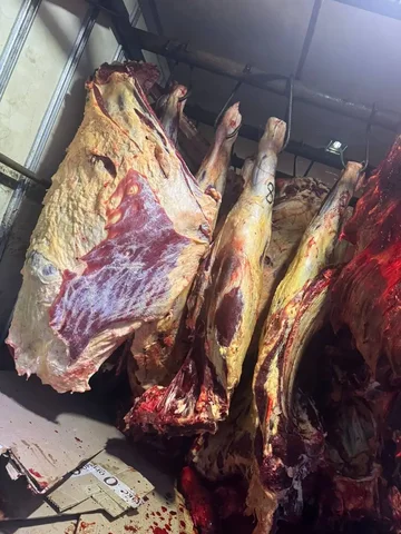 Прием скота на мясо в Абакане - Скот в Абакан