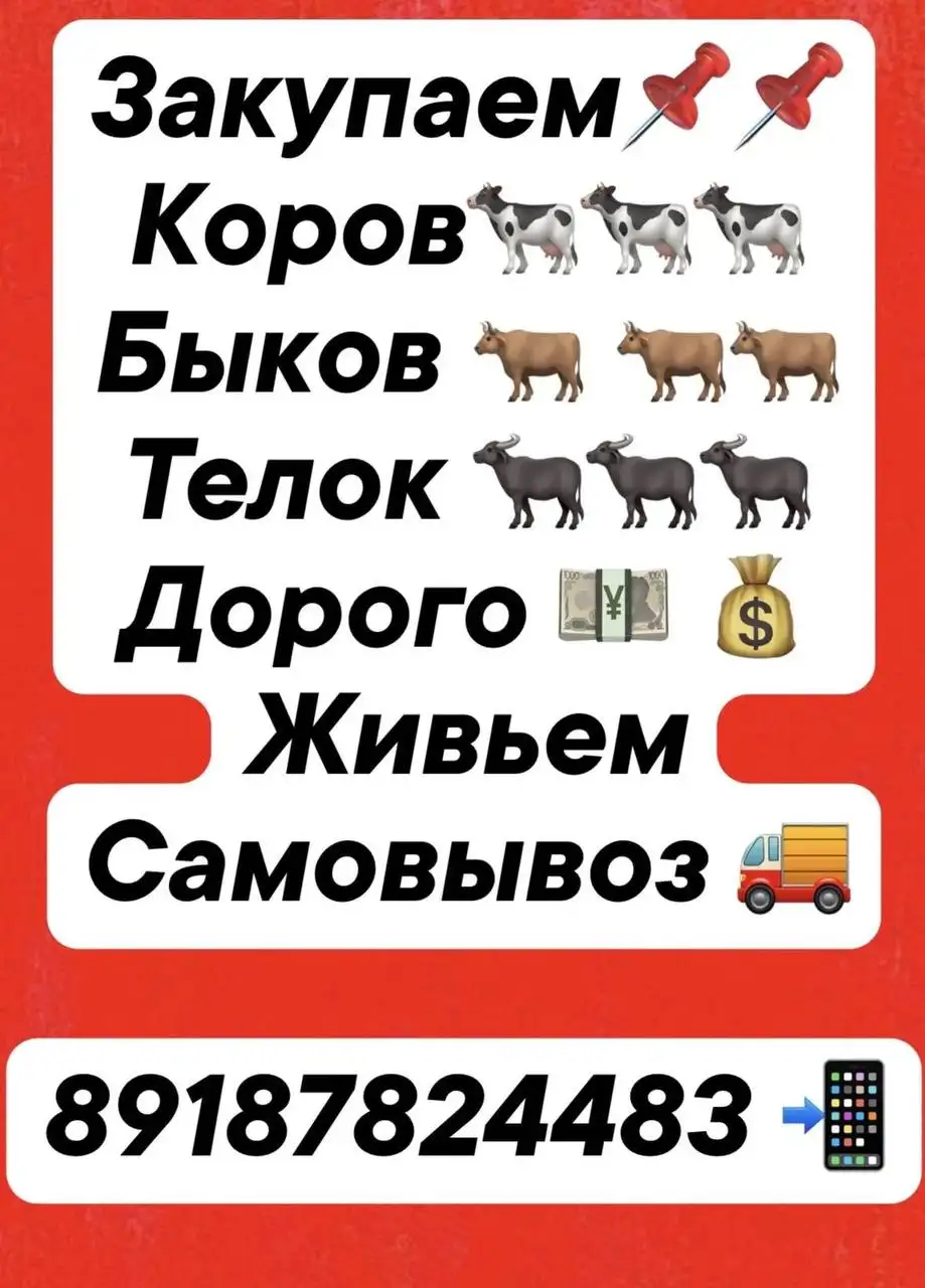 Приобретение крупного рогатого скота для выпаса и разведения - Скот (Животные) в Неизвестно