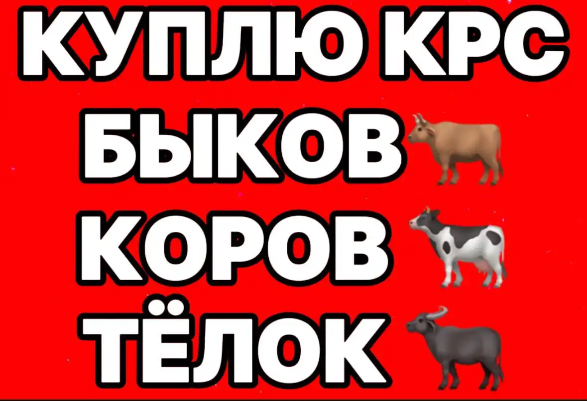 Закупка КРС (крупного рогатого скота) - Скот (Животные) в Неизвестно