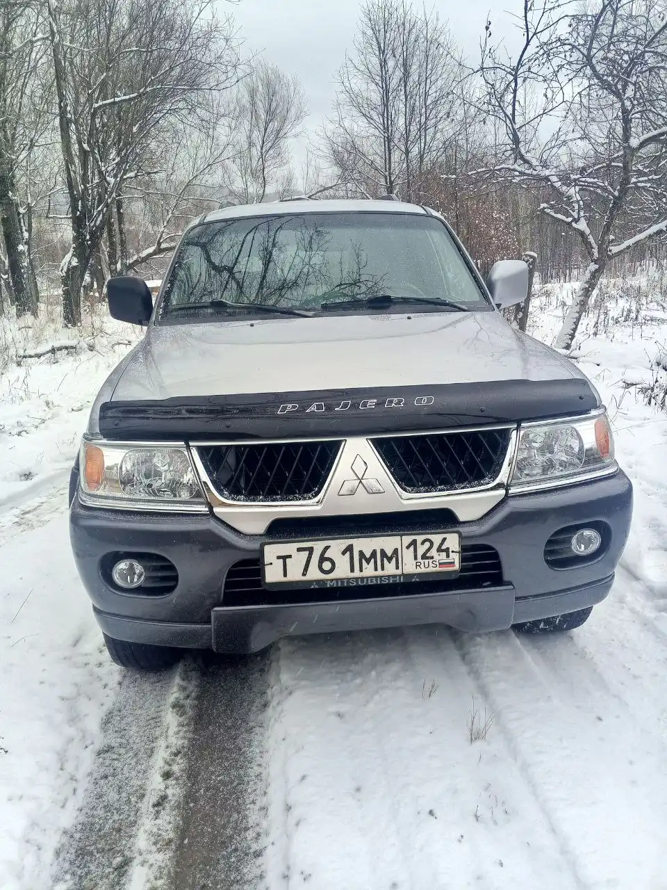 Продажа Mitsubishi Pajero Sport 2004 года - Внедорожники (Авто) в Абакан