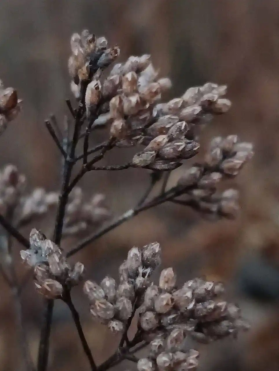 Мрачные кадры из Жигулевского заповедника