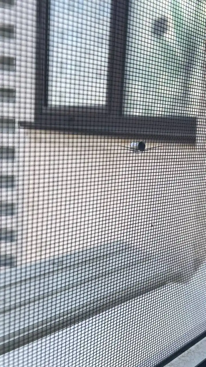 Обстрел окон и машин в ЖК Ботанический