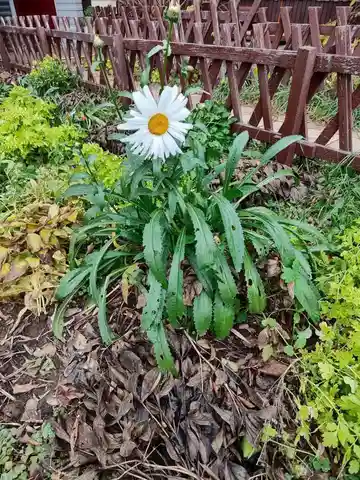 САМАРА УСЛУГИ №1 - Услуги в Самара