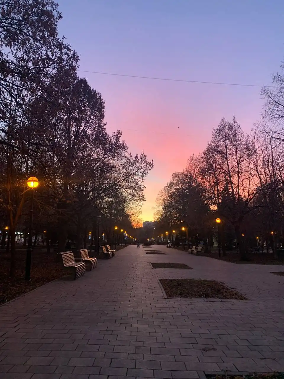 Фото и видео от читателей