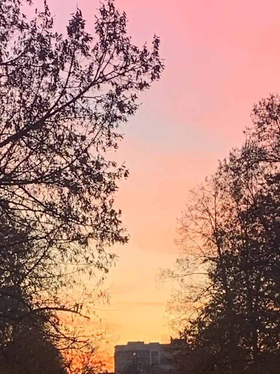 Фото и видео от читателей