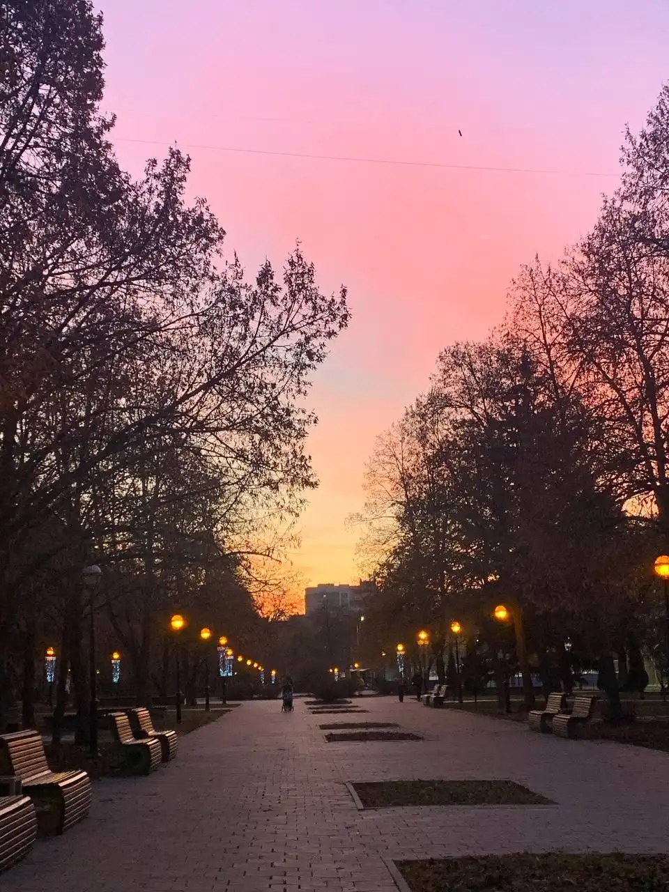 Фото и видео от читателей