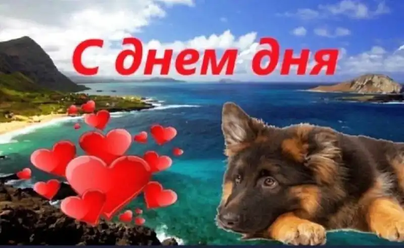 День электронных поздравлений в Самаре