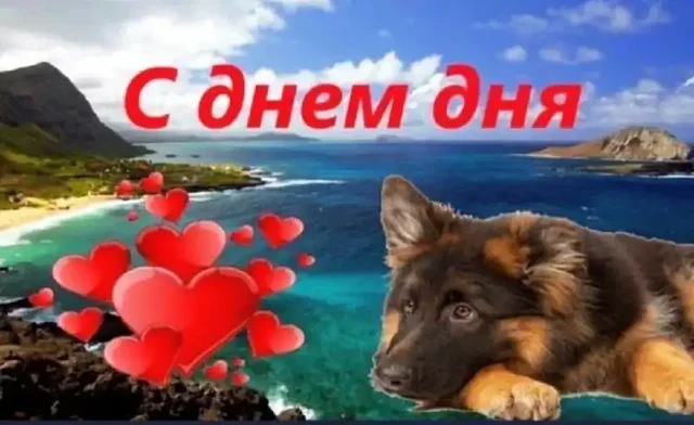 День электронных поздравлений в Самаре - Услуги в Самара