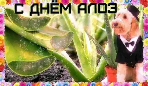 День электронных поздравлений в Самаре