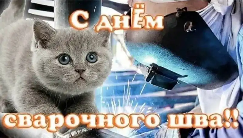 День электронных поздравлений в Самаре