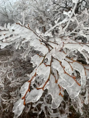 Ледяная красота в Жигулевском заповеднике - частное объявление в Самара
