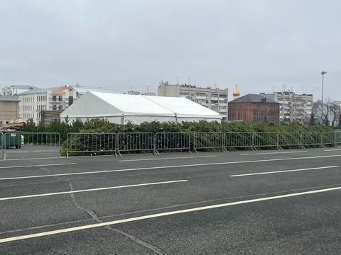 Открытие ёлочного базара на площади Куйбышева в Самаре - Услуги в Самара