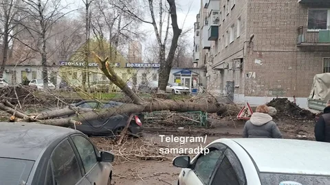 Дерево упало на автомобиль - Услуги в Самара
