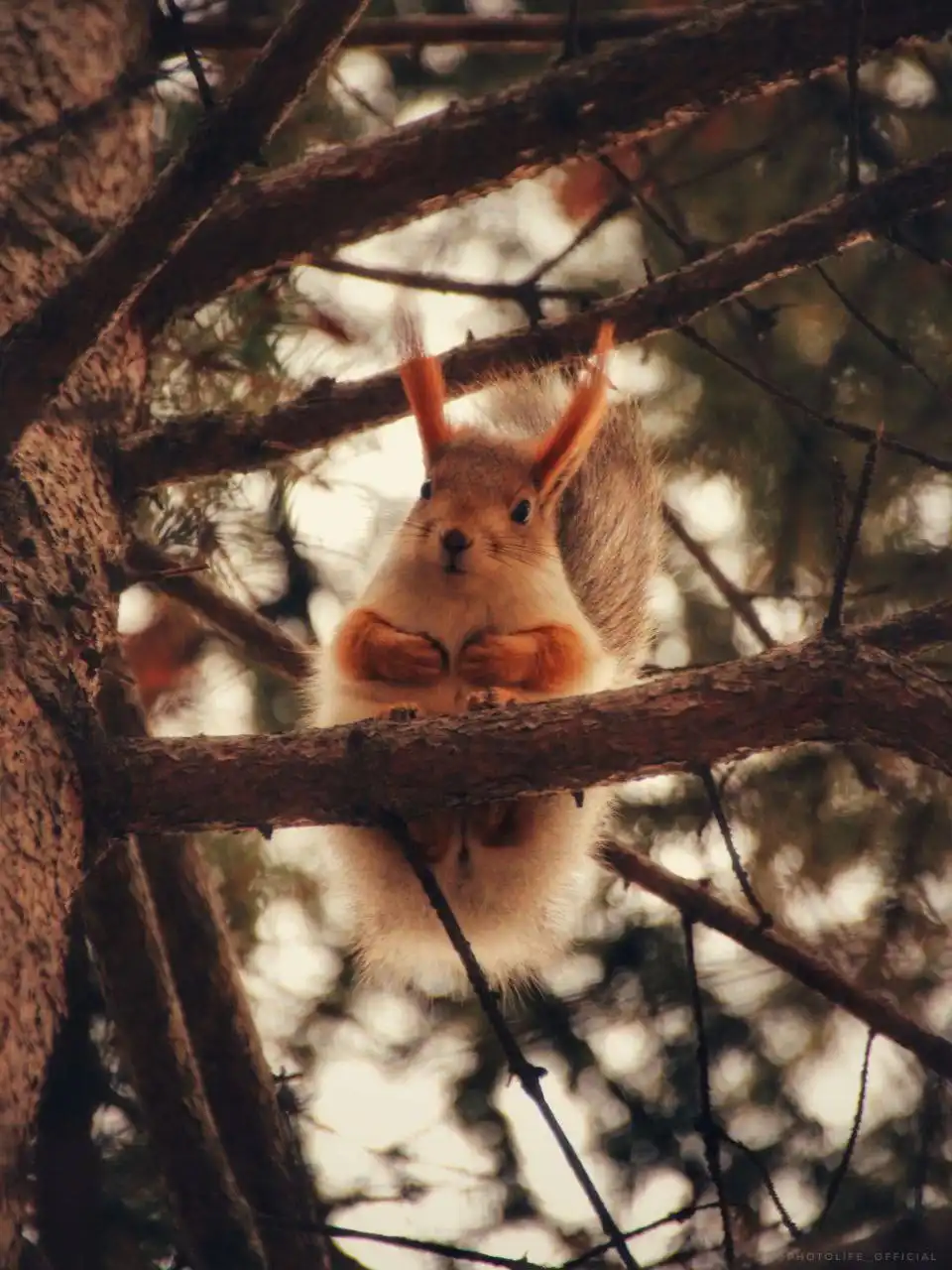 Фотосессия в загородном парке