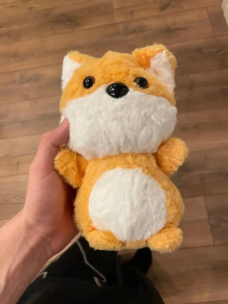 Поиск тушки драга 1 в Тюмени