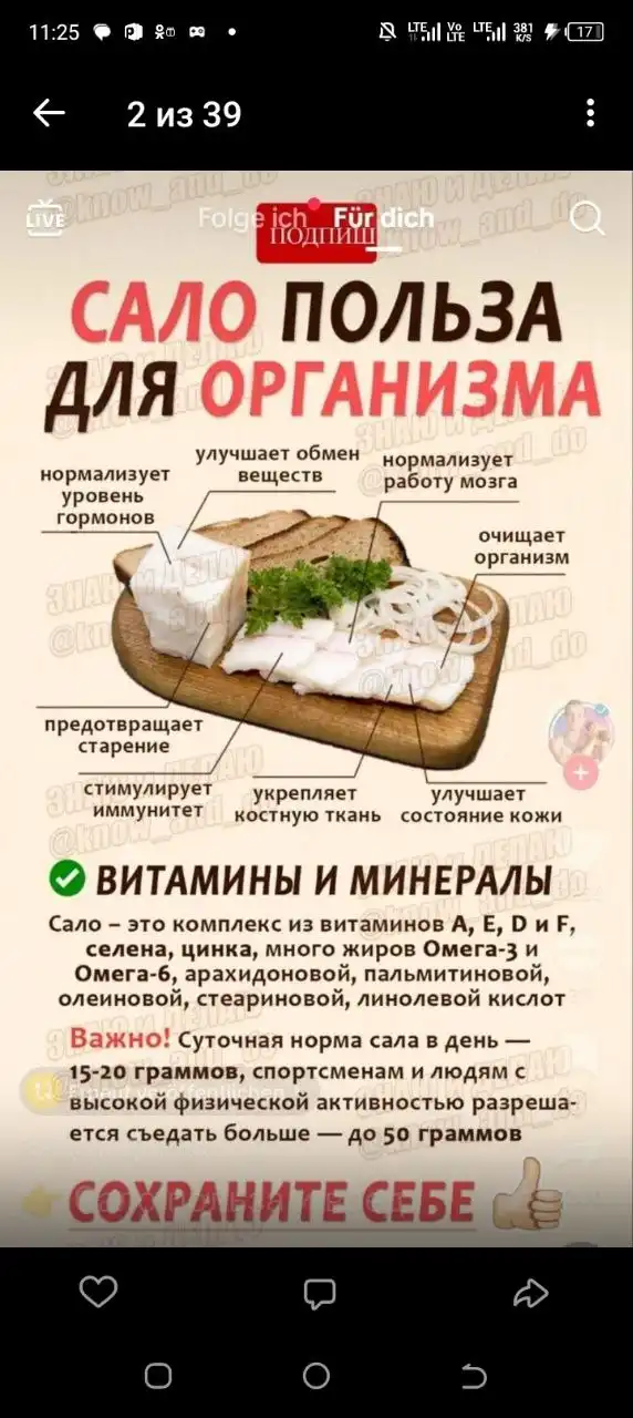 Продажа домашнего сала различных видов