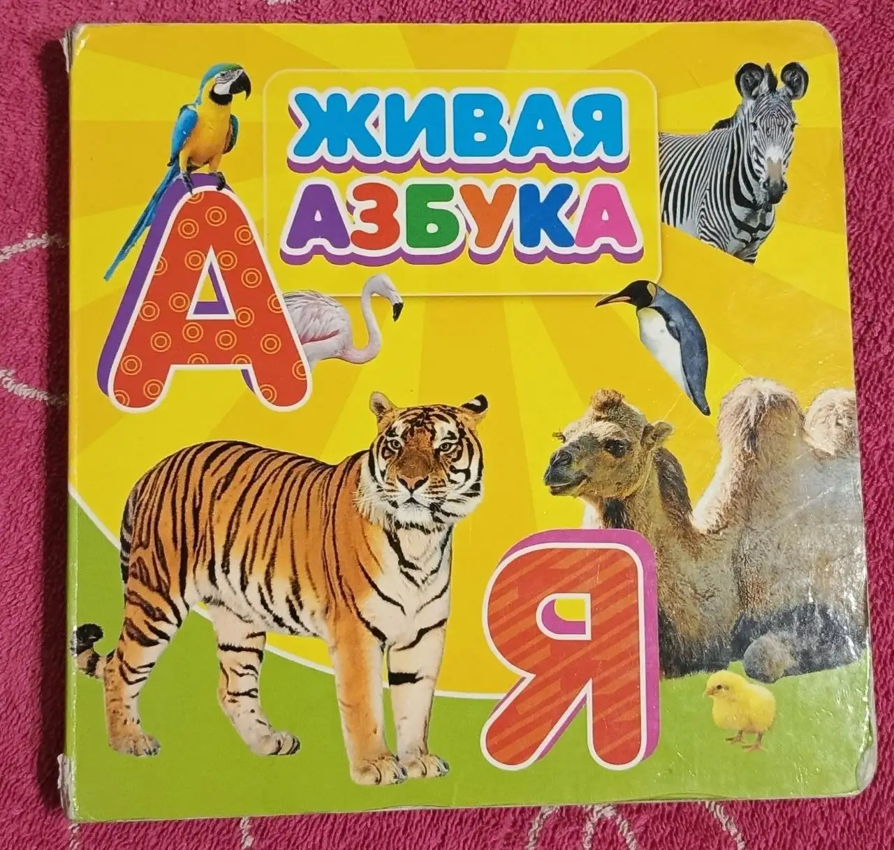 Живая Азбука - книга для детей - Книги (Товары для детей) в Москва